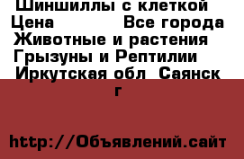 Шиншиллы с клеткой › Цена ­ 8 000 - Все города Животные и растения » Грызуны и Рептилии   . Иркутская обл.,Саянск г.